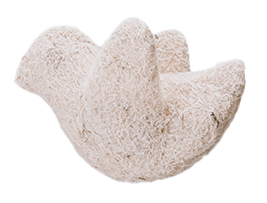 птичица филцане вуне