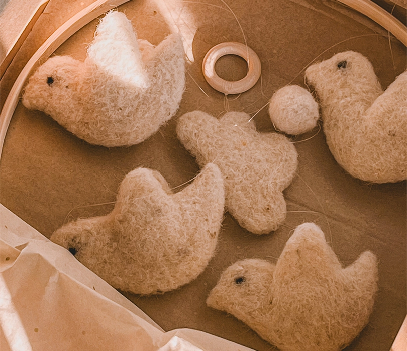 птичице у кутији паковање