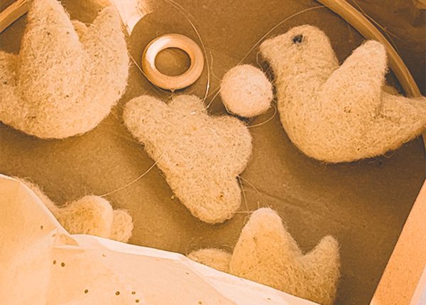 птичице у кутији паковање Дедино